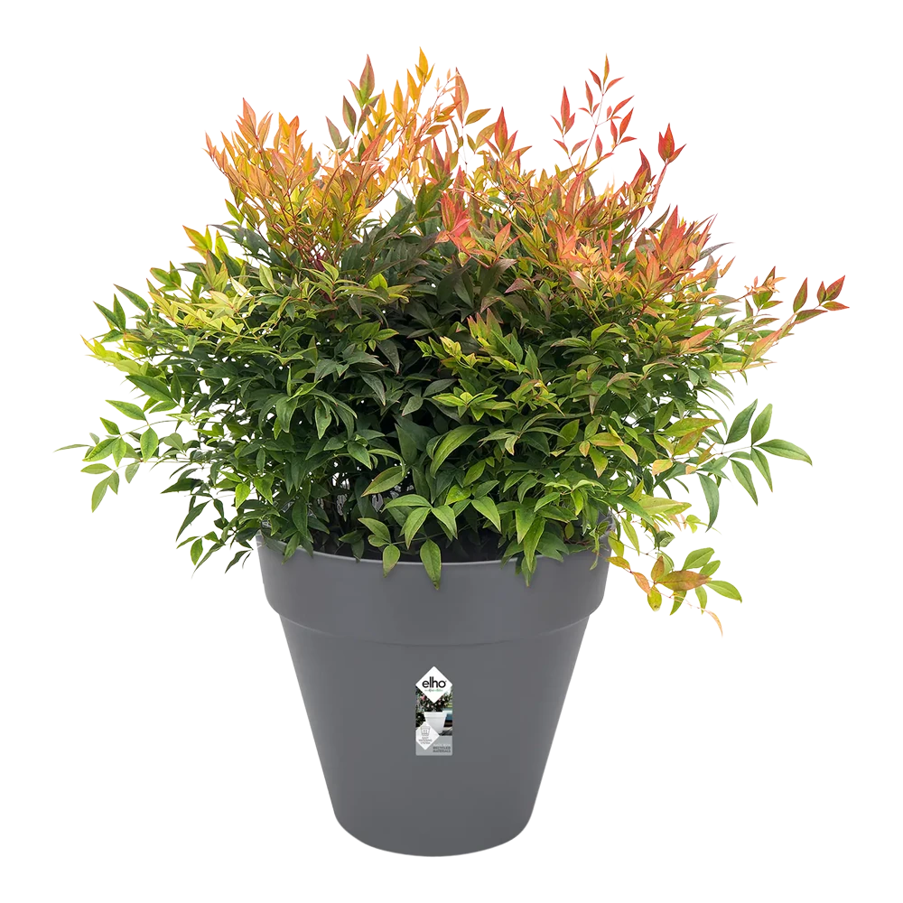Bloempot Elho Loft Urban Rond 40cm - Antraciet - Afbeelding 3