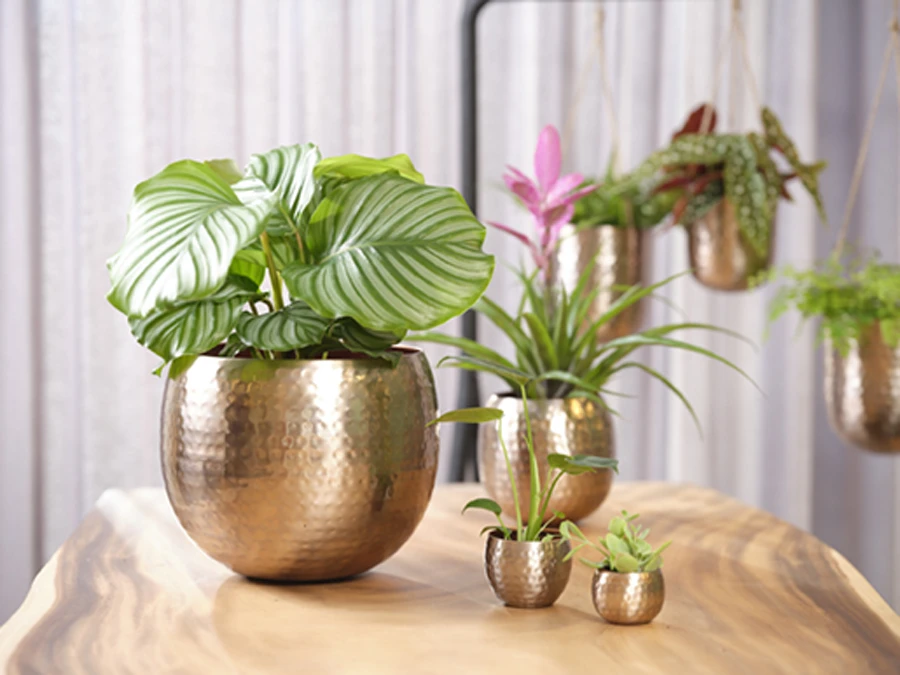 Bloempot Kody - D23 X H19cm - Rosu00e9 Goud - Afbeelding 2