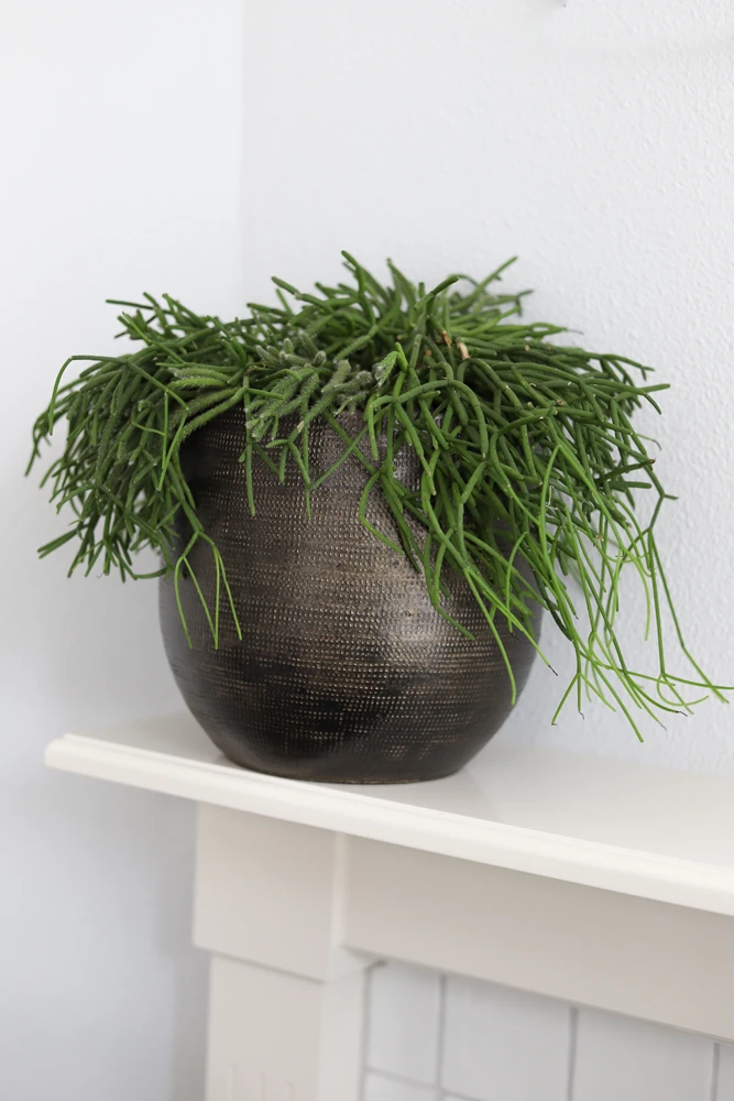 Bloempot Tokio - D28 X H26cm - Goud - Afbeelding 2