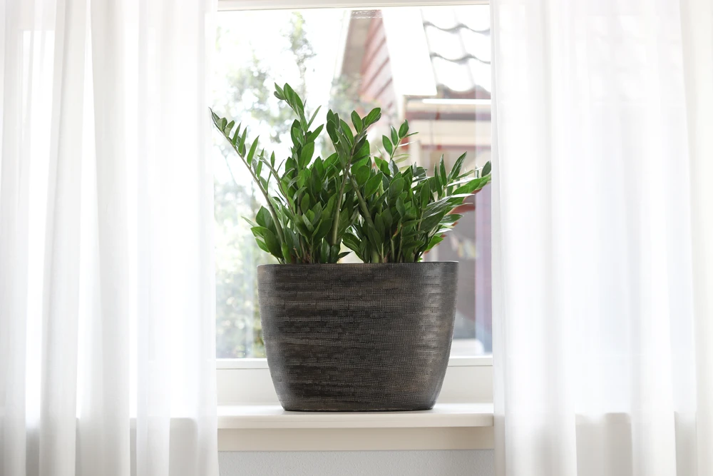 Bloempot Tokio Ovaal - L52 X B17 X H37cm - Goud - Afbeelding 2