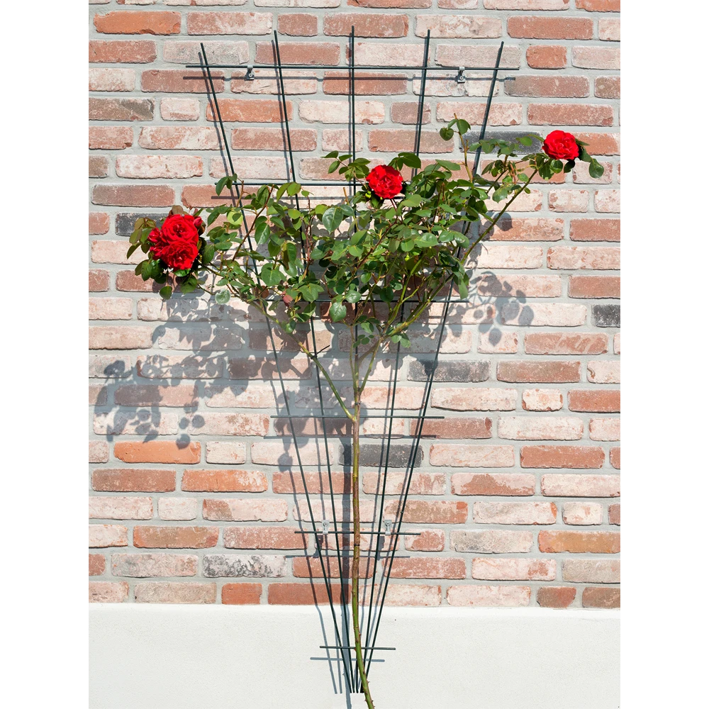 Nature - Metalen Klimrekv Geplastificeerd Groen H145x5/75cm - Afbeelding 2