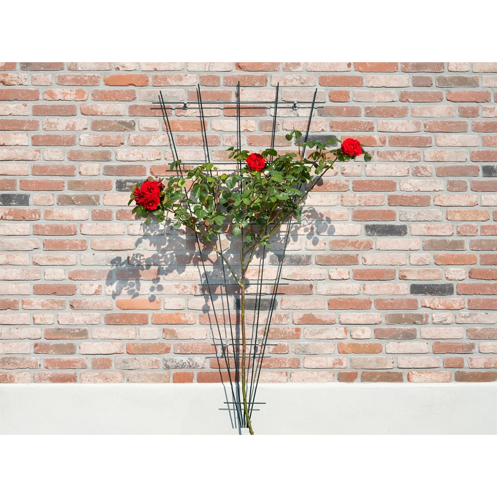 Nature - Metalen Klimrekv Geplastificeerd Groen H145x5/75cm - Afbeelding 3