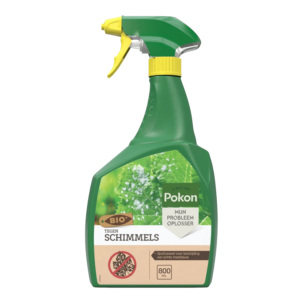 Pokon Bio Tegen Schimmels Spray 800ml - Schimmels