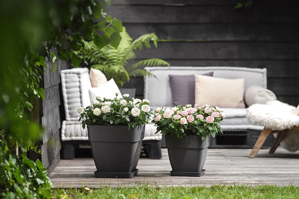 Bloempot Elho Vibia Campana Vierkant 30cm - Antraciet - Afbeelding 4